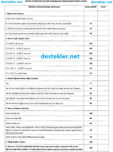 Özel okul teşvik puanlama cetveli 2017